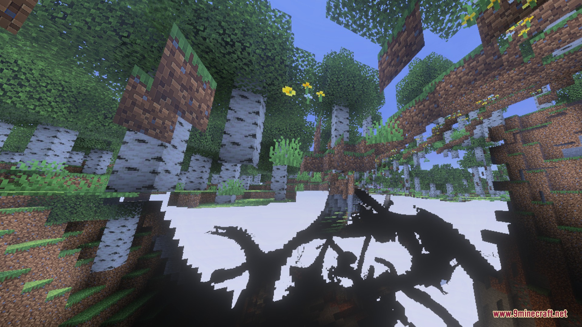 Minecraft birch forest with floating blocks and dark shadow effects on the ground