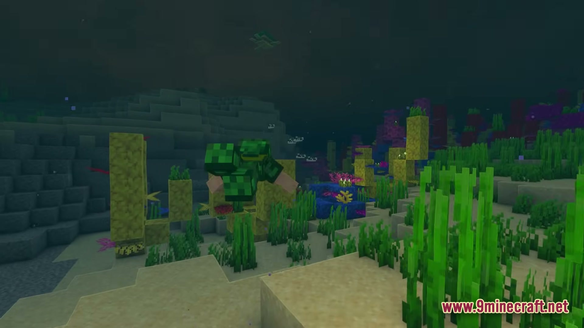 A player character swims through a vibrant coral reef biome filled with seagrass and aquatic life