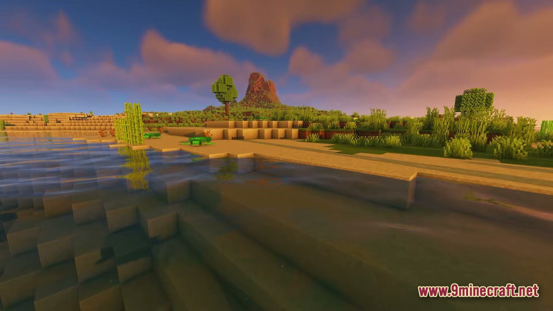 A coastal minecraft landscape featuring a sandy shoreline, sugar cane, and distant hills under a sunset sky