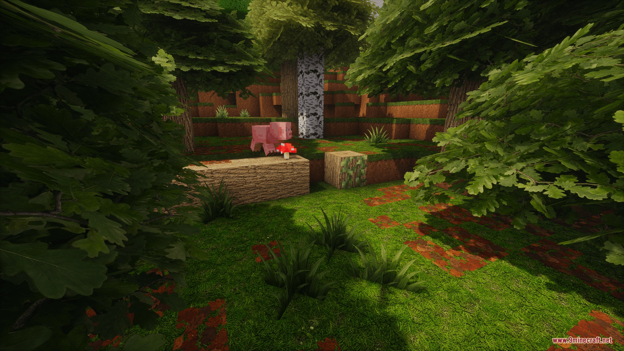 Odar Is Resource Pack (26.2, 1.20.1) – Crisp Photo Realism For Classic Survival 6 A pink pig stands near a red mushroom in a dense green forest