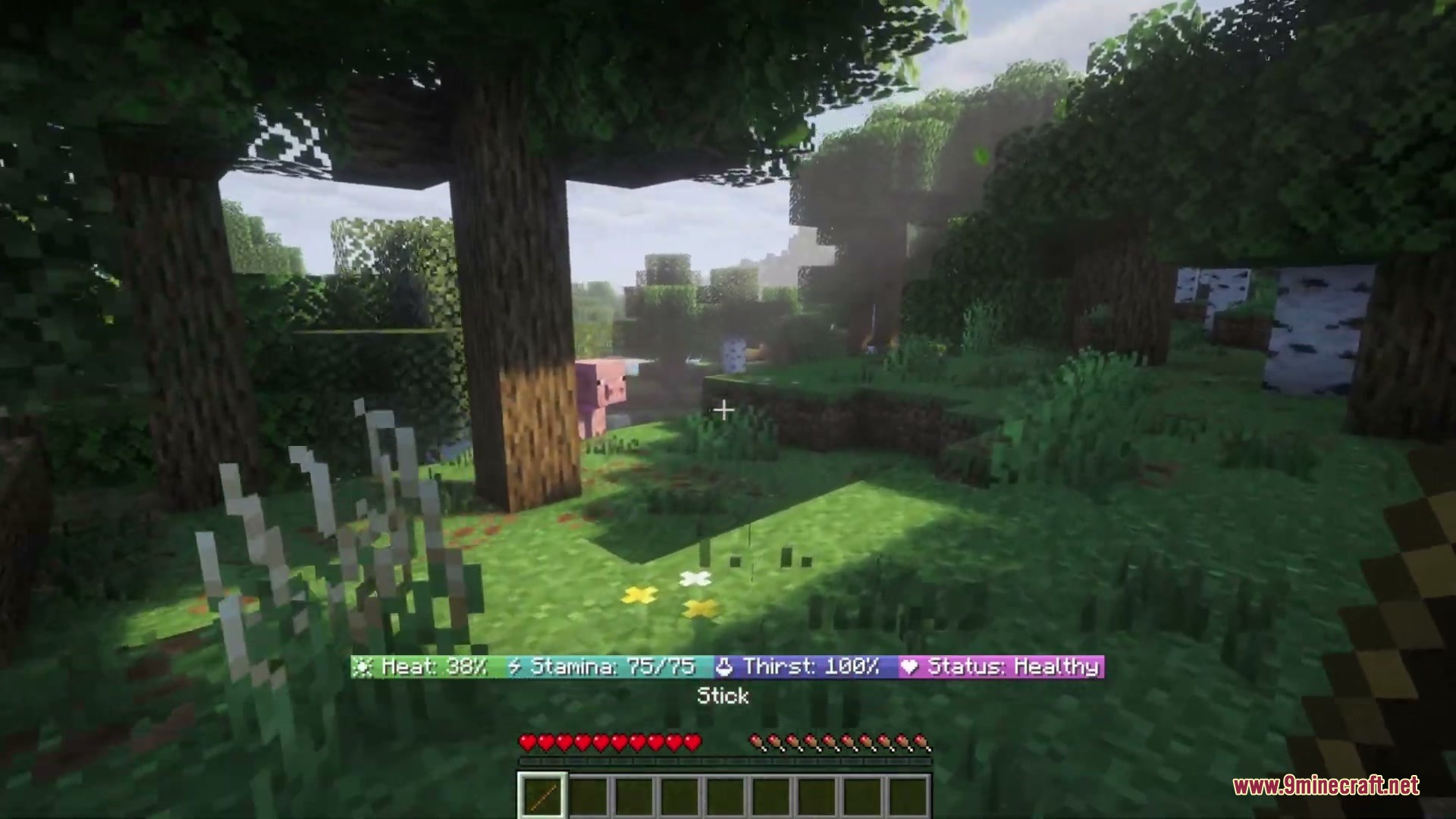 Overly realistic mod adds a custom survival hud with temperature and thirst bars