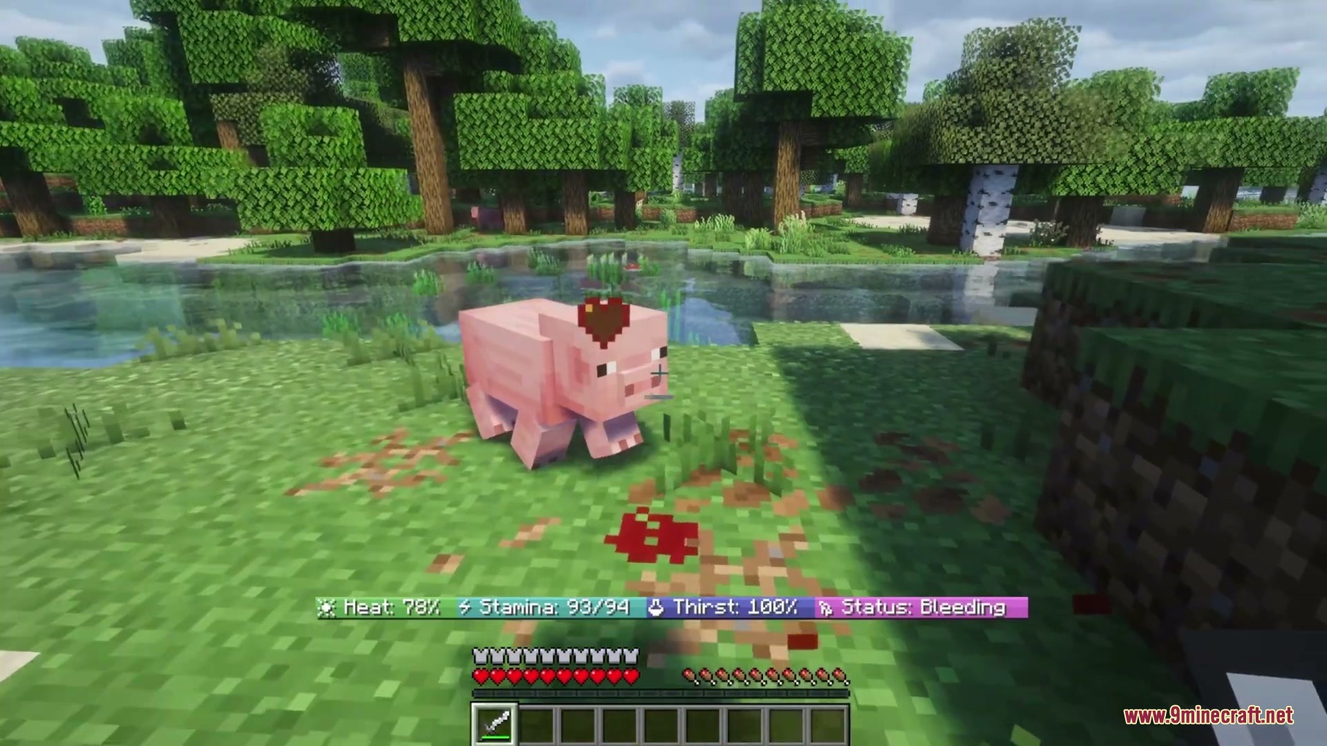 A bleeding pig on the grass with realistic survival status effects displayed
