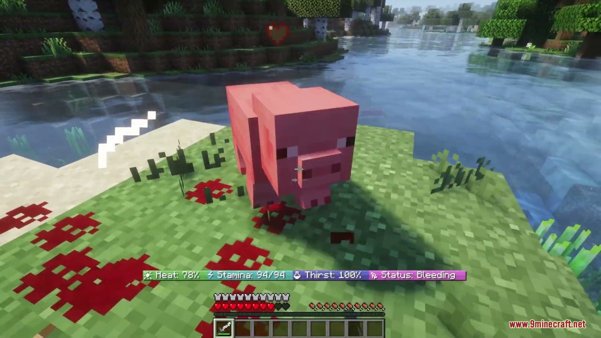 A pig stands on grass with blood splatters and a survival status bar