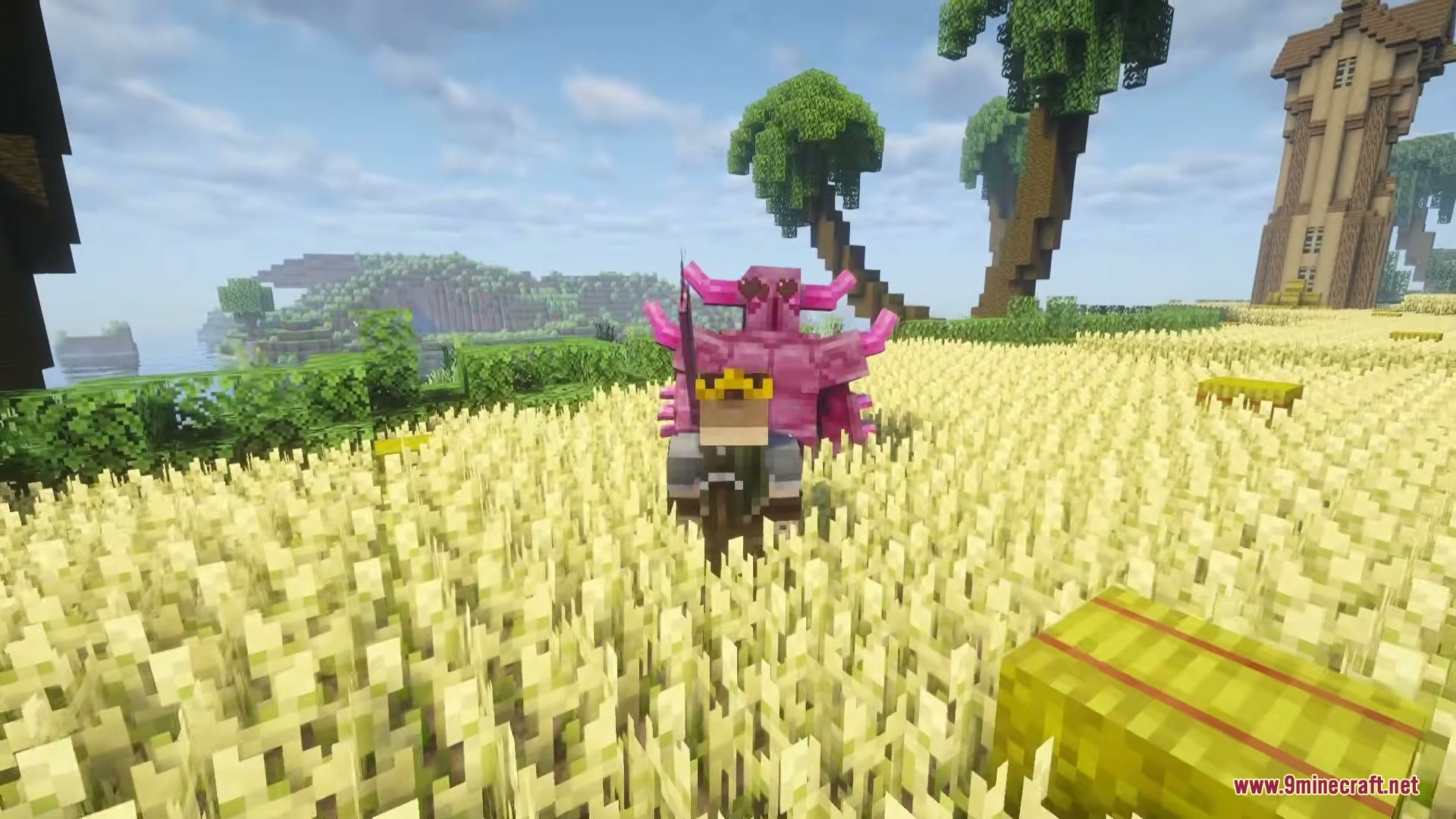 P.e.k.k.a. Craft Mod (1.21.1, 1.20.1) – Summon A Loyal Armored Partner 7 Pink armored mob standing behind a crowned player in a wheat field