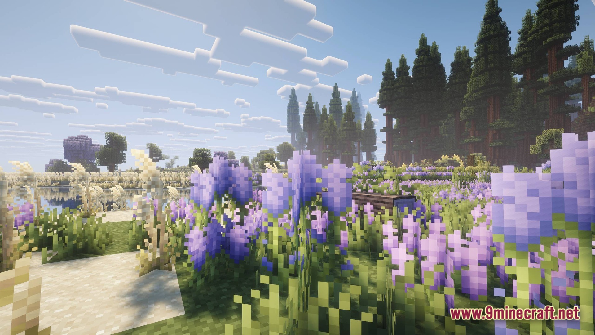 Perennial Core Modpack (26.1.2) – Classic Gameplay With Gentle Upgrades 4 A field of purple flowers and tall grass bordering a coniferous forest under a clear sky