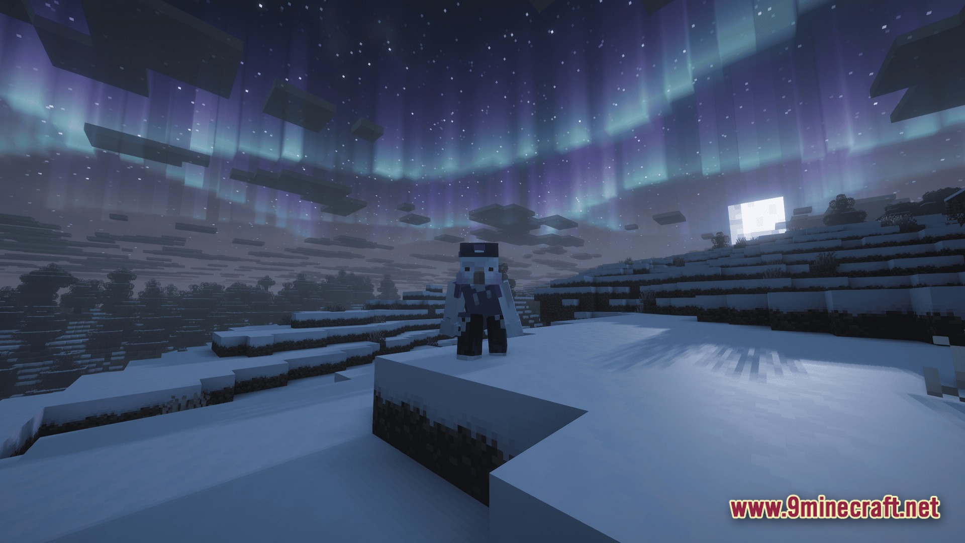 A player character stands in a snowy biome under a night sky featuring an aurora borealis