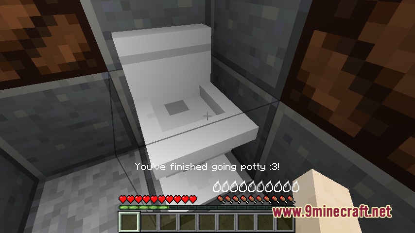 A player character using a white toilet block in minecraft