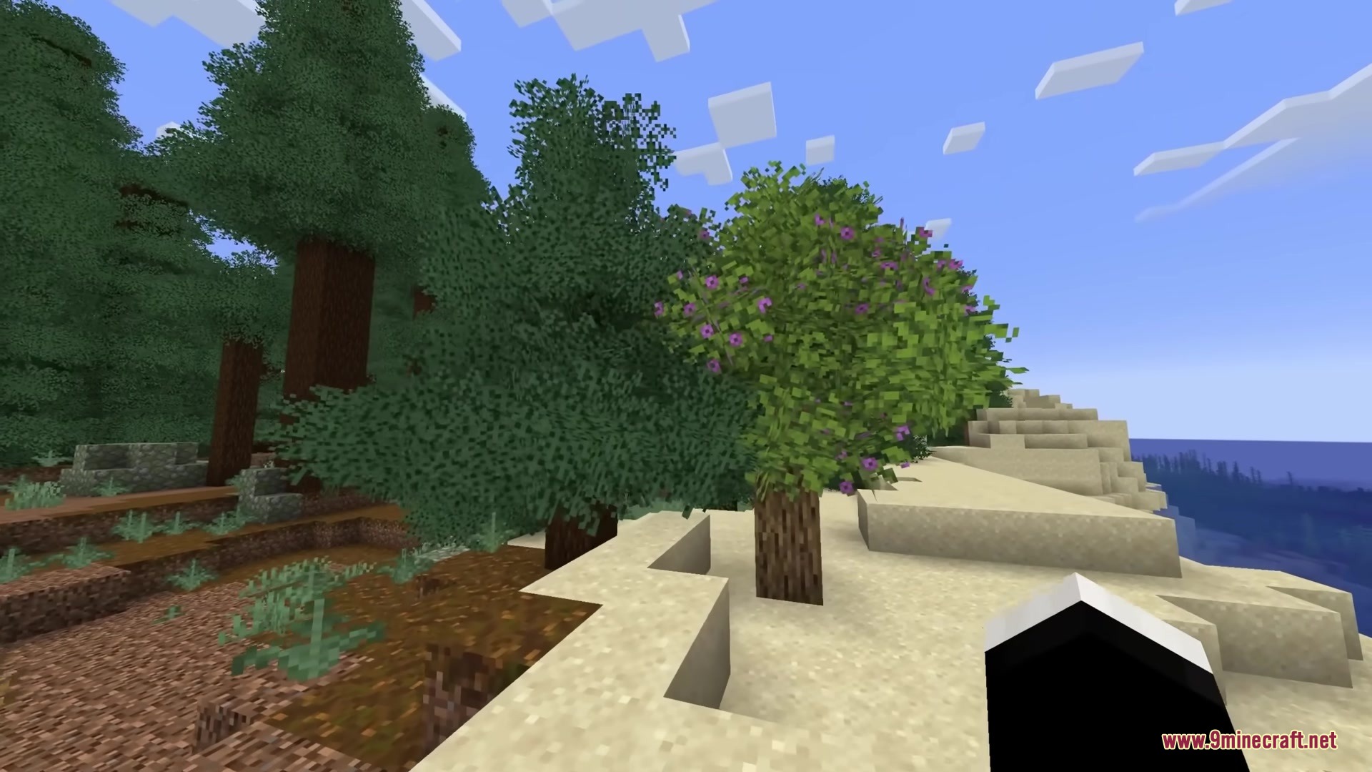Rainbow’s Foliage Polytone Resource Pack (26.2, 1.20.1) 2 A flowering tree stands on a sandy beach near a dense green forest