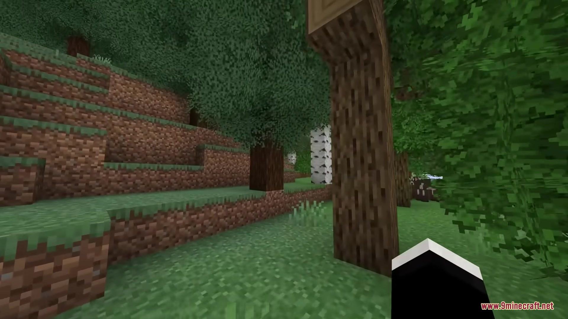 Rainbow’s Foliage Polytone Resource Pack (26.2, 1.20.1) 4 Exploring a dense forest with bushy leaves and diverse trees in minecraft
