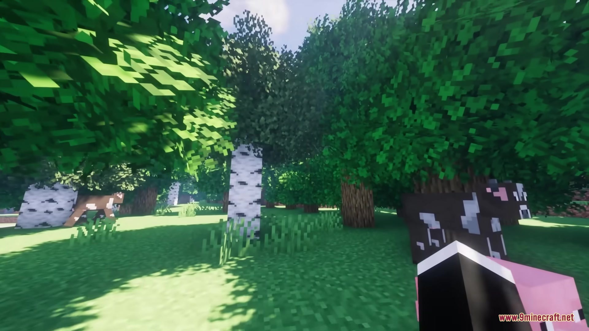 Rainbow’s Foliage Polytone Resource Pack (26.2, 1.20.1) 5 A cow grazing in a bright forest with bushy leaves and sunny shaders