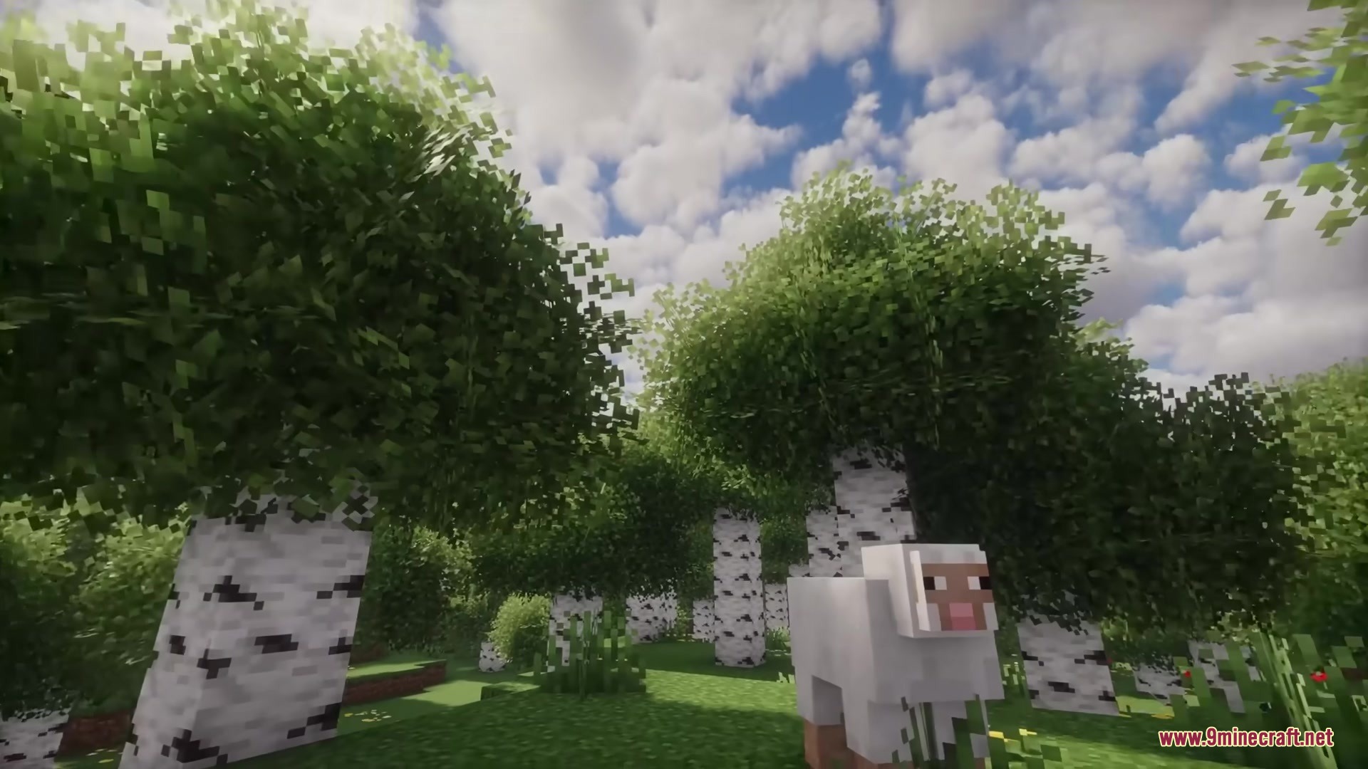 Rainbow’s Foliage Polytone Resource Pack (26.2, 1.20.1) 6 A white sheep stands in a birch forest with dense bushy leaves