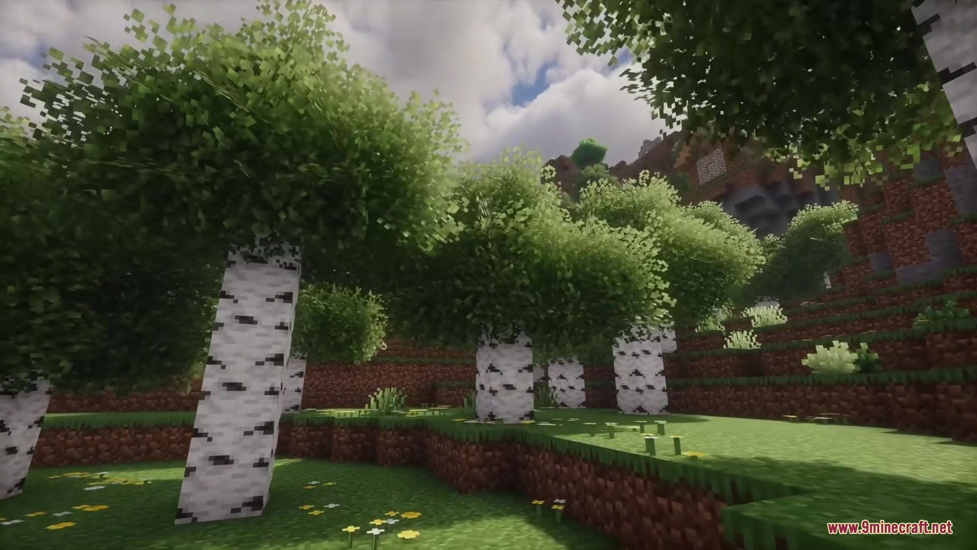 Rainbow’s Foliage Polytone Resource Pack (26.2, 1.20.1) 7 Lush birch forest with bushy leaves and yellow flowers on a hillside