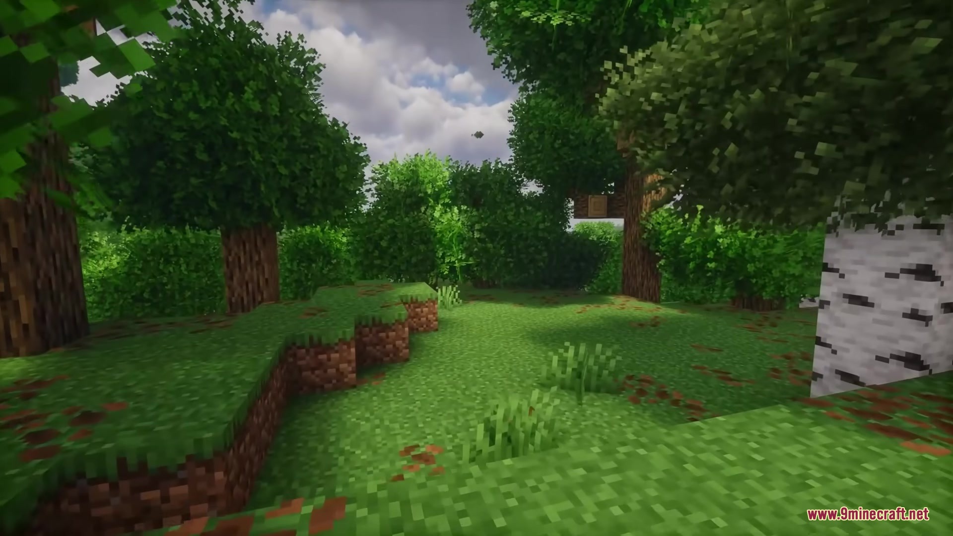 Rainbow’s Foliage Polytone Resource Pack (26.2, 1.20.1) 8 Dense green forest with bushy leaves and grass under a cloudy sky