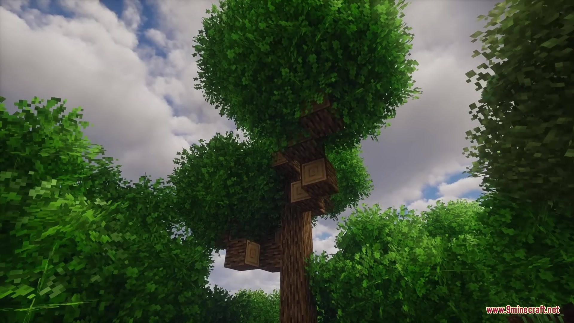 Rainbow’s Foliage Polytone Resource Pack (26.2, 1.20.1) 9 Rainbows foliage polytone resource pack adds thick bushy leaves to minecraft trees