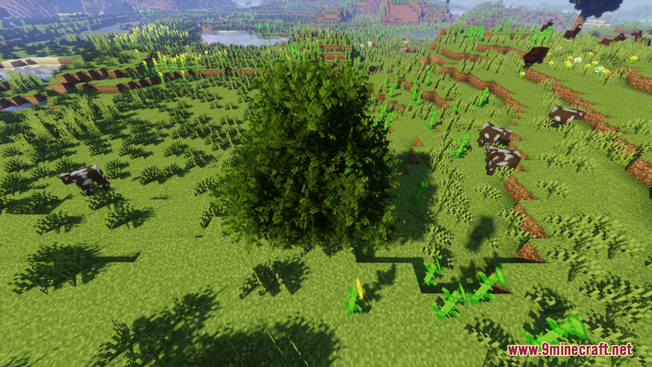 Rainbow’s Foliage Resource Pack (26.2, 1.20.1) – Bushier Leaves For Natural Forests 4 Bushy green tree standing in a grassy field with several grazing cows