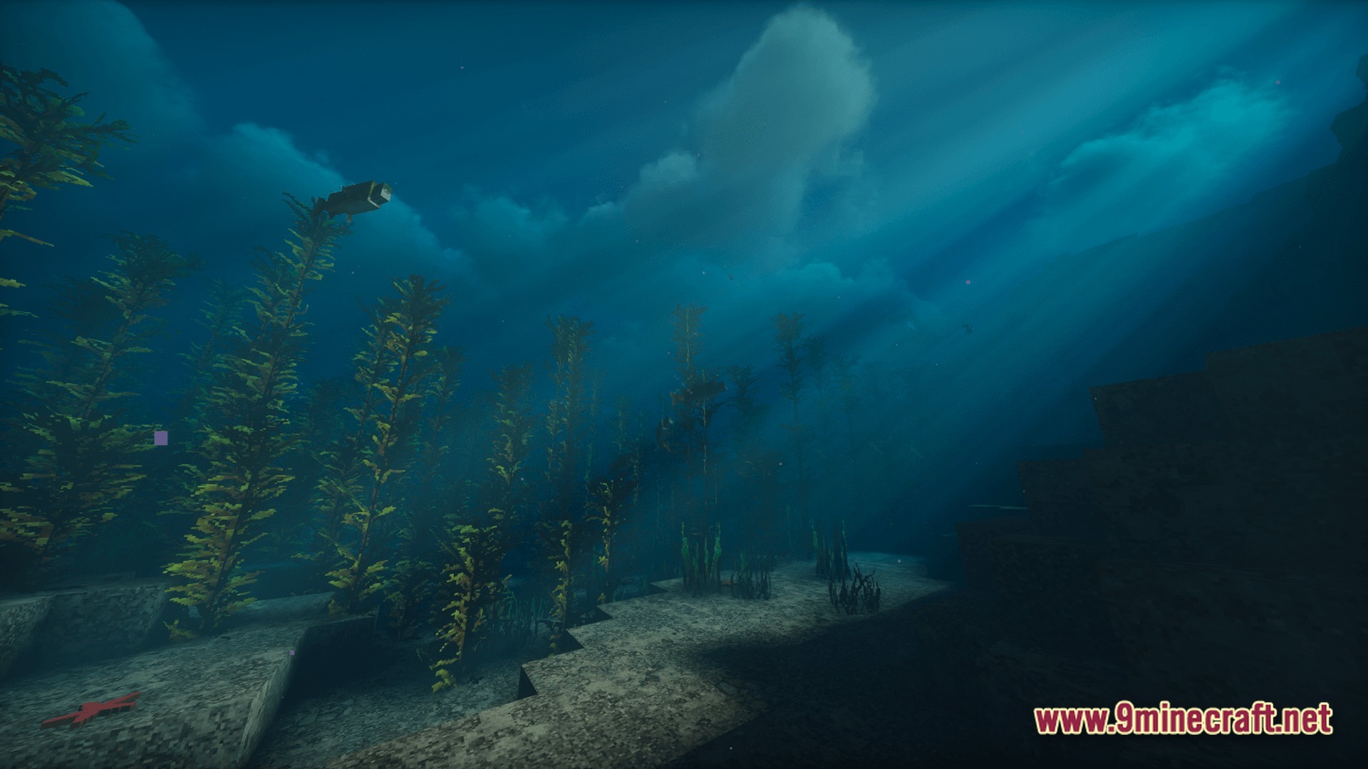 Real Realistic World Realistic Modpack (1.20.1) – Explore Lifelike Forests And Mountains 10 An underwater kelp forest biome featuring fish, realistic lighting effects, and high-resolution textures