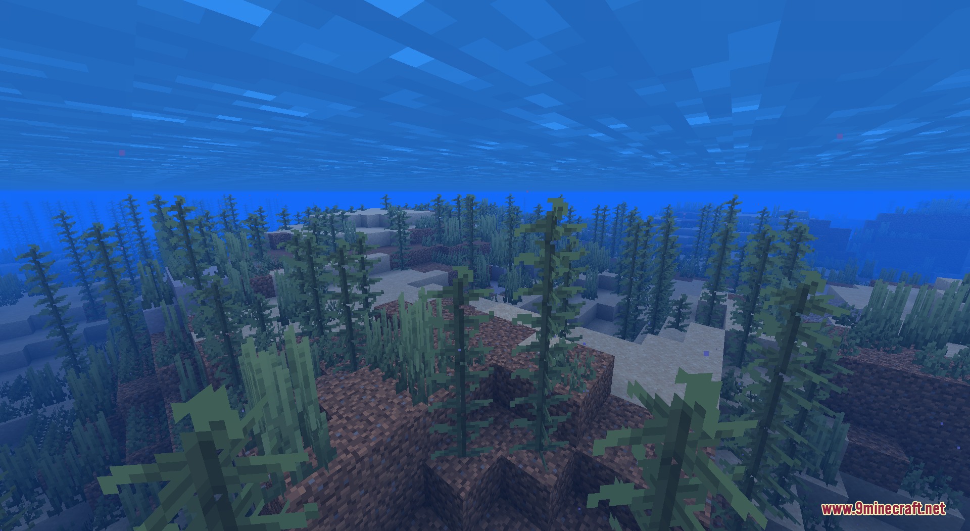 Recolored Plants Resource Pack (26.2, 1.20.1) – Naturally Blended Flora 3 Underwater view of green kelp and seagrass growing on the sandy ocean floor