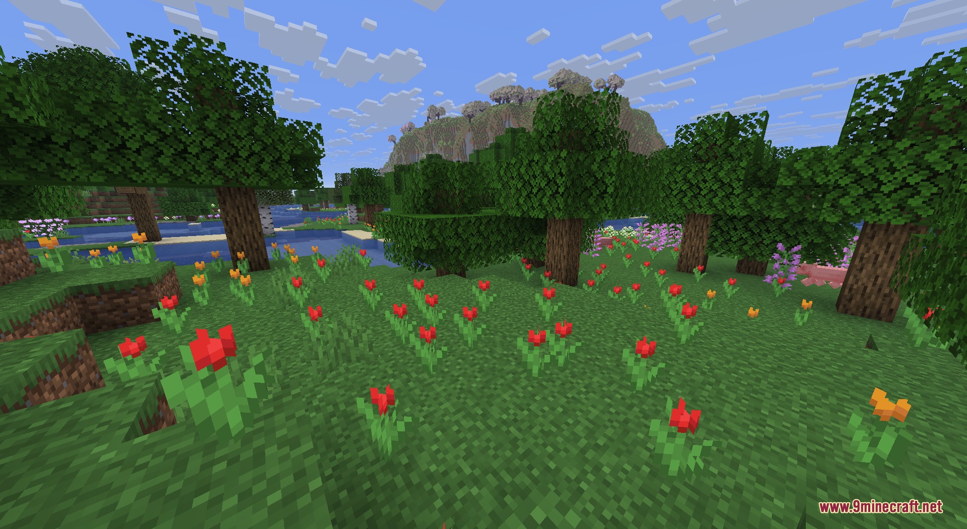 Recolored Plants Resource Pack (26.2, 1.20.1) – Naturally Blended Flora 8 Recolored plants resource pack showing red tulips and orange flowers in a forest