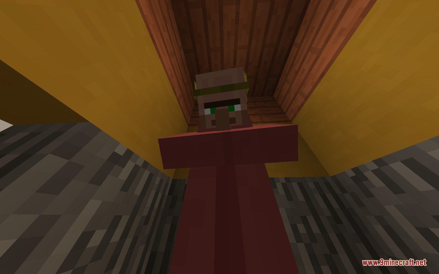 Retrograde Vision Resource Pack (1.21.11, 1.20.1) – Classic Programmer Art 5 A villager with a green headband looking down at the player in minecraft