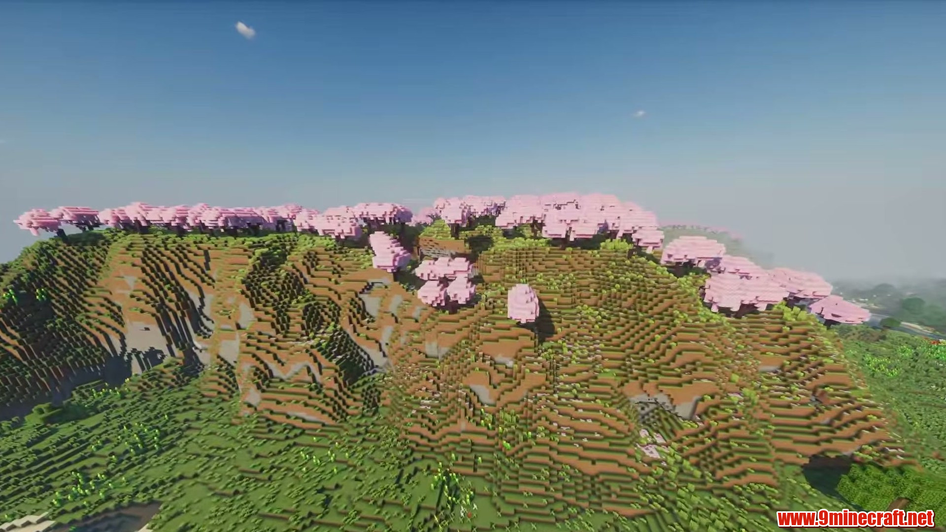 Massive sakura biome in minecraft seed 64967321012094567