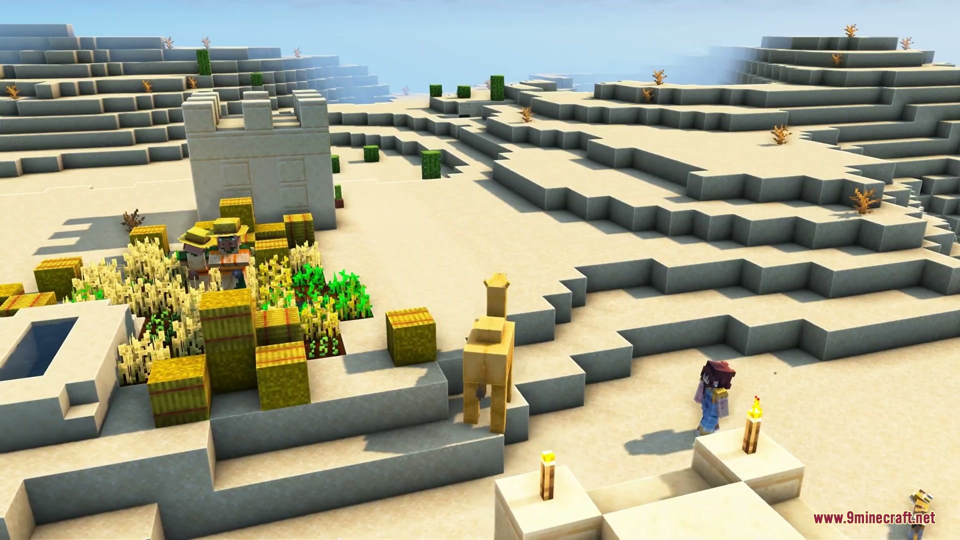 Villagers and a camel near a desert farm with soft warm lighting