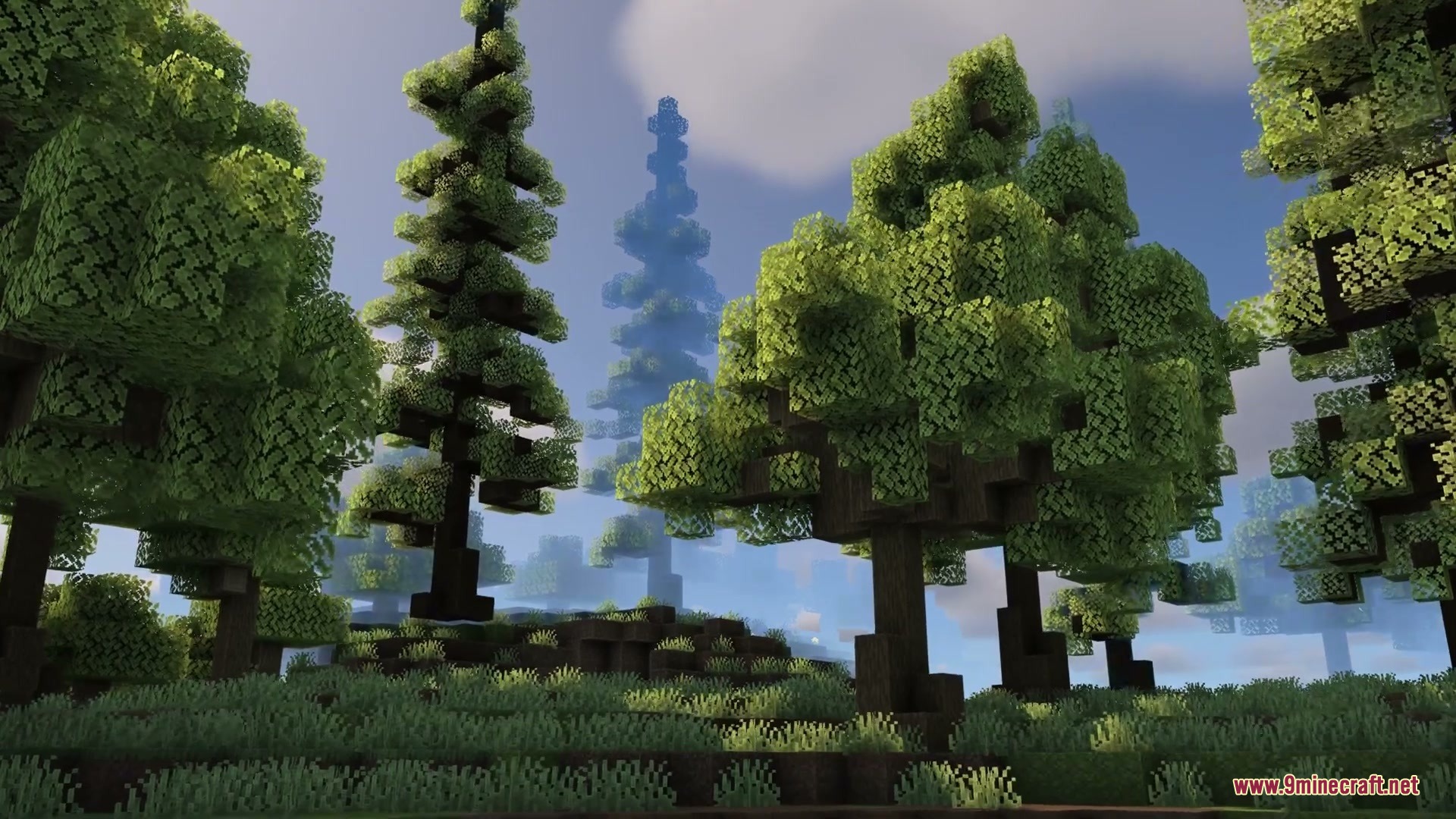 Serene horizon glow resource pack showcases soft colors and tall trees in a forest