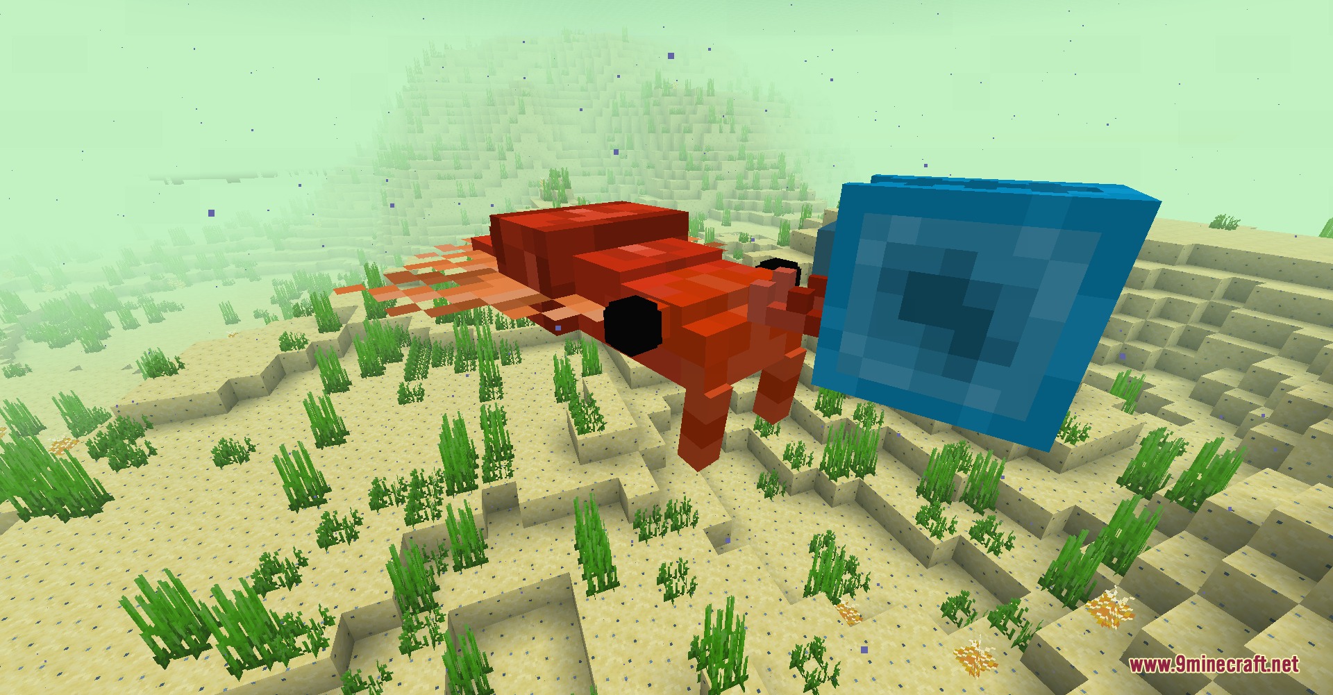 Spoduo The Spores Mod (1.20.1) – Battle Ancient Sea Life In A Strange Fungal 2 A red anomalocaris swims near a blue block in an underwater biome
