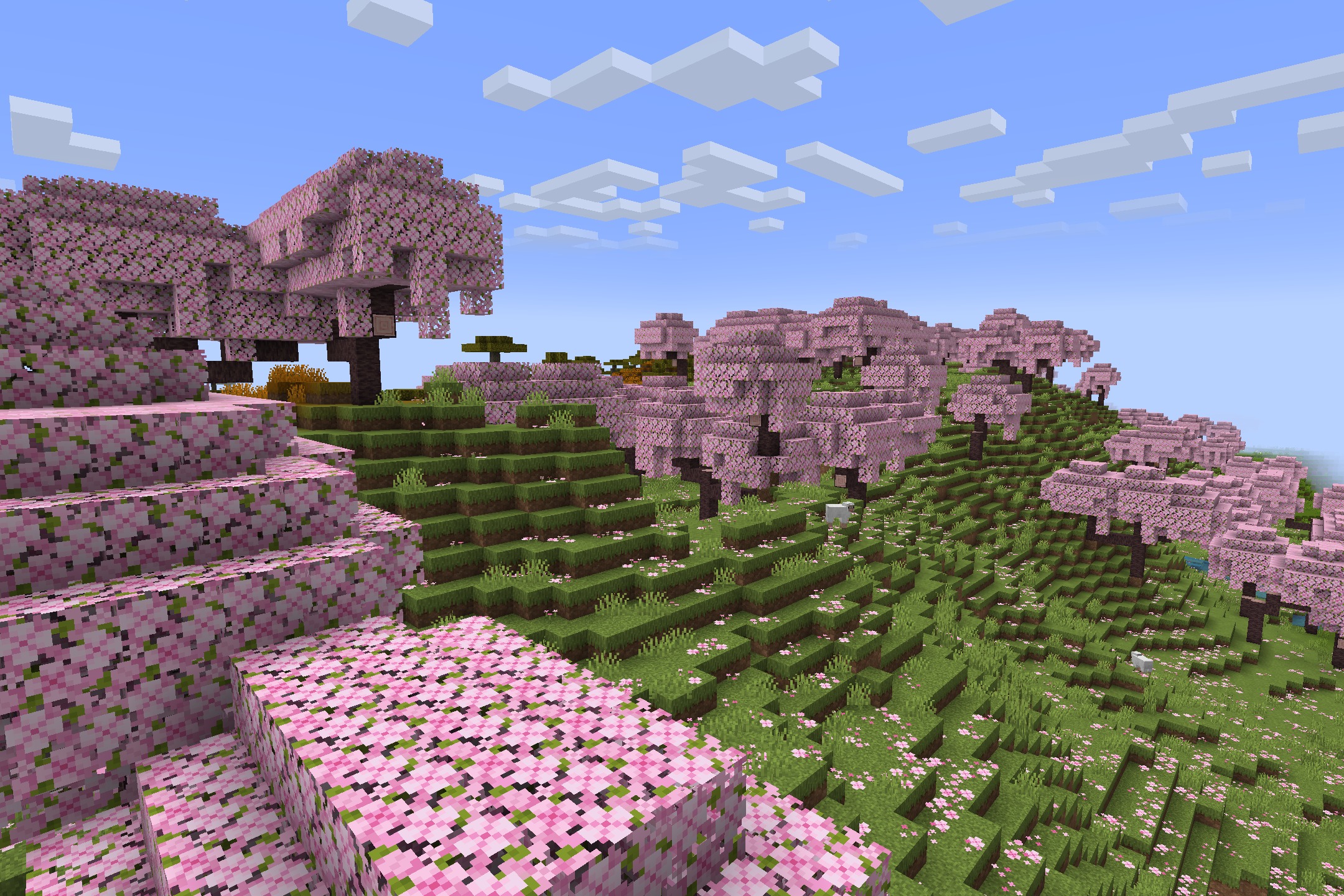 Vibrant cherry blossom trees and pink petals scattered across a lush green hill