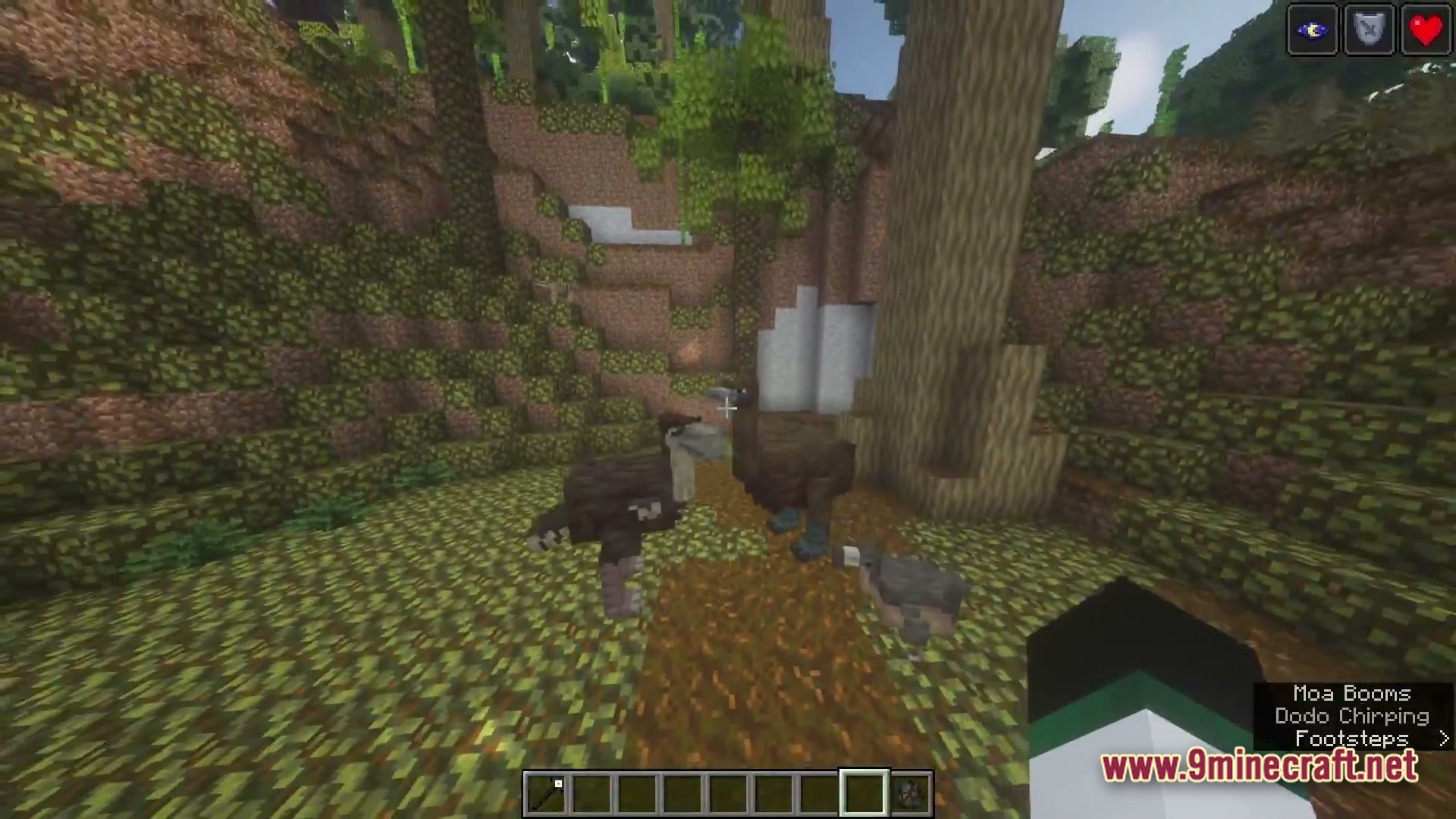 The Ancient Dawn Prehistoric Journey Modpack (1.20.1) – Survive The Age Of Giants 7 A group of prehistoric birds stand on a leaf-covered forest floor near a large tree