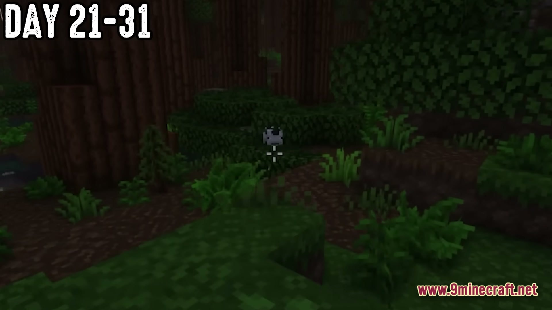 The Fungal Infection Co Op Base Defense Modpack (1.20.1) – Defend Your Base Or Rot 4 A lone cow stands amidst a dense forest biome during the survival progression of days 21-31