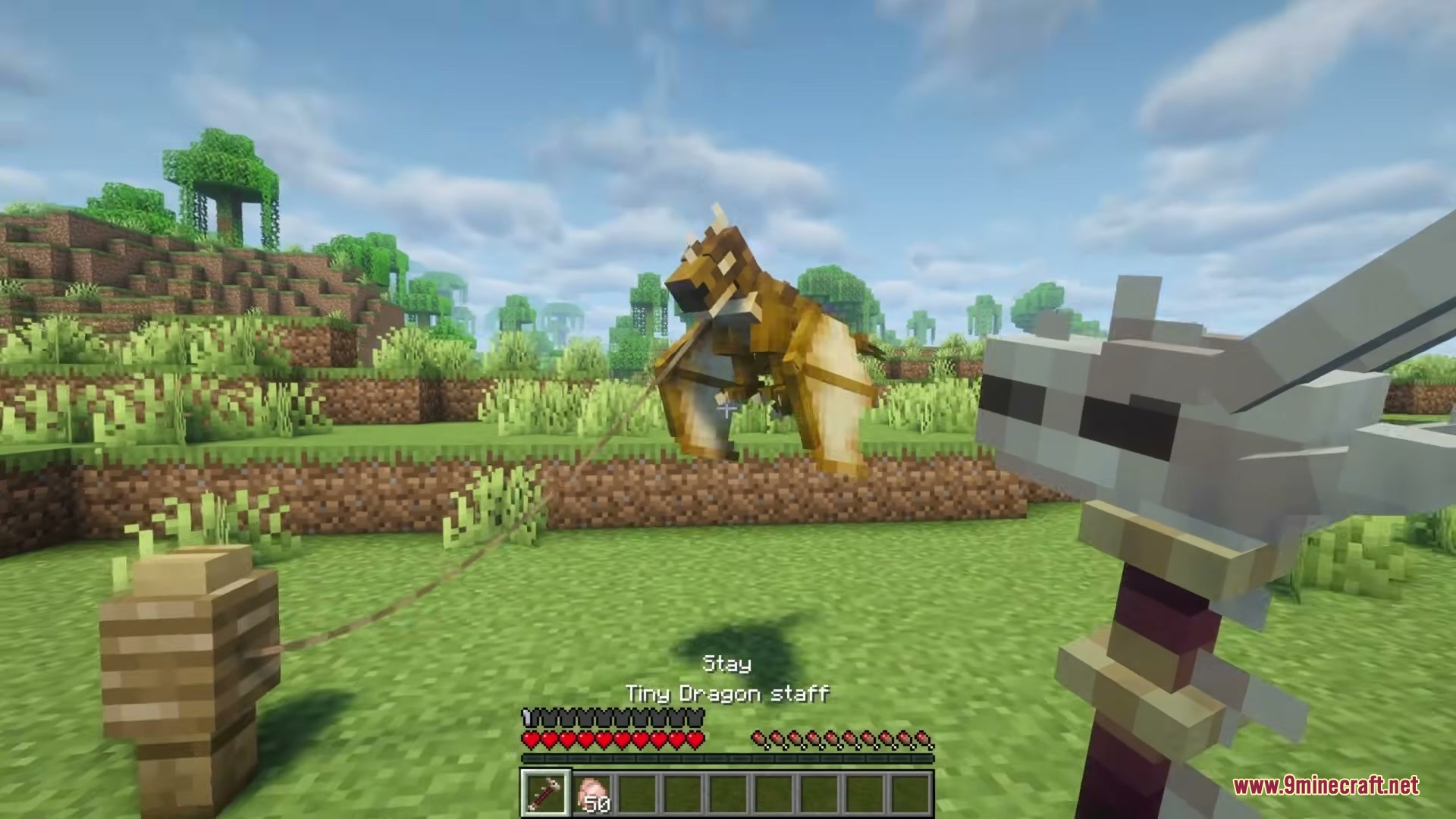 Tiny Dragons Reforged Mod (1.21.1, 1.20.1) – Hatch And Command Fire-Breathing 15 Player uses a tiny dragon staff to command a dragon on a lead