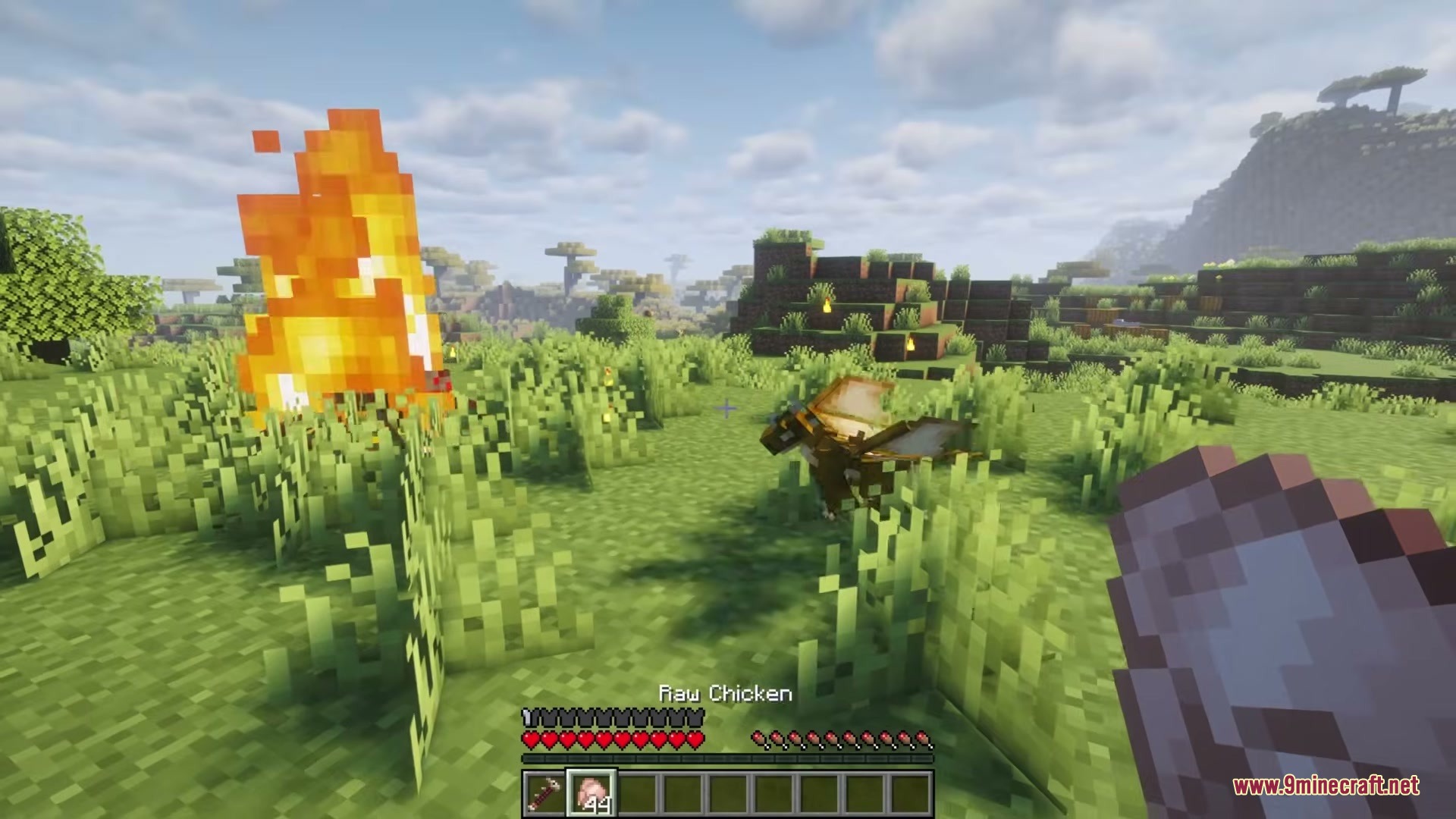 Tiny Dragons Reforged Mod (1.21.1, 1.20.1) – Hatch And Command Fire-Breathing 18 Player taming a small dragon with raw chicken near a large fire