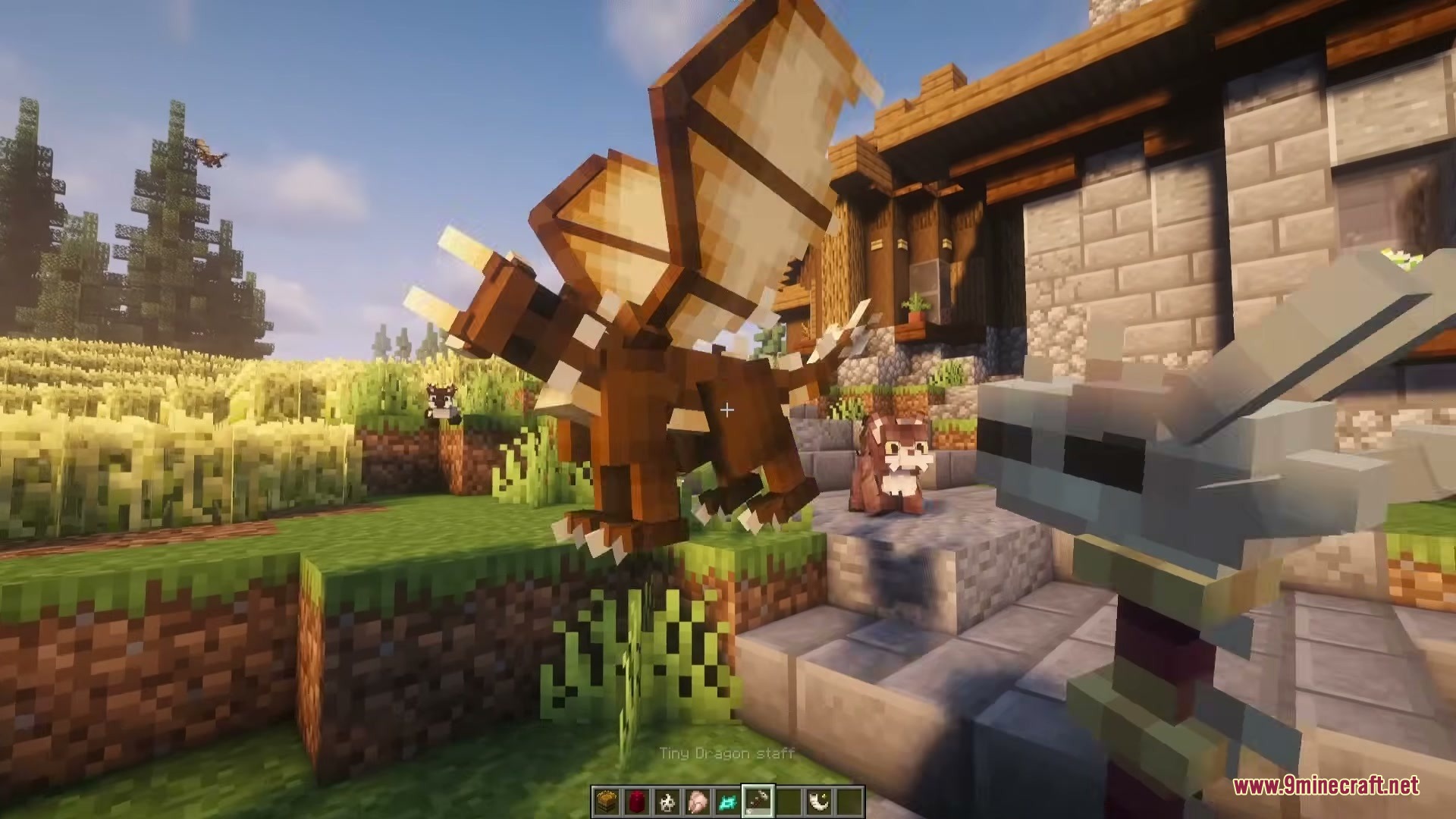 Tiny Dragons Reforged Mod (1.21.1, 1.20.1) – Hatch And Command Fire-Breathing 9 A player uses a tiny dragon staff to command a flying pet dragon