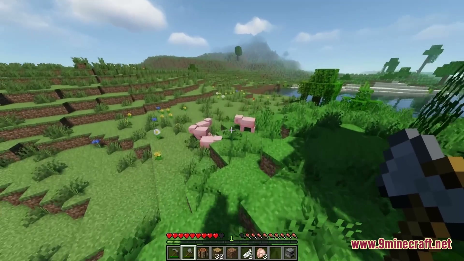 A player holds a stone axe while looking at pigs in a grassy plains biome