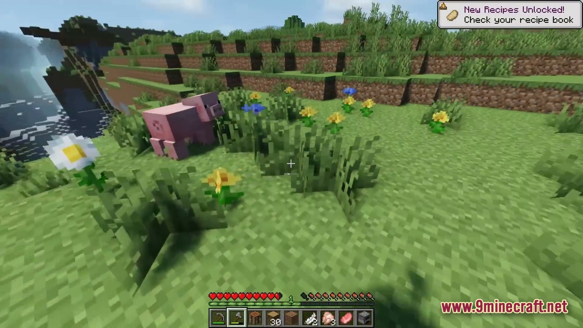 A pig stands in a grassy field with flowers near a cliffside in minecraft