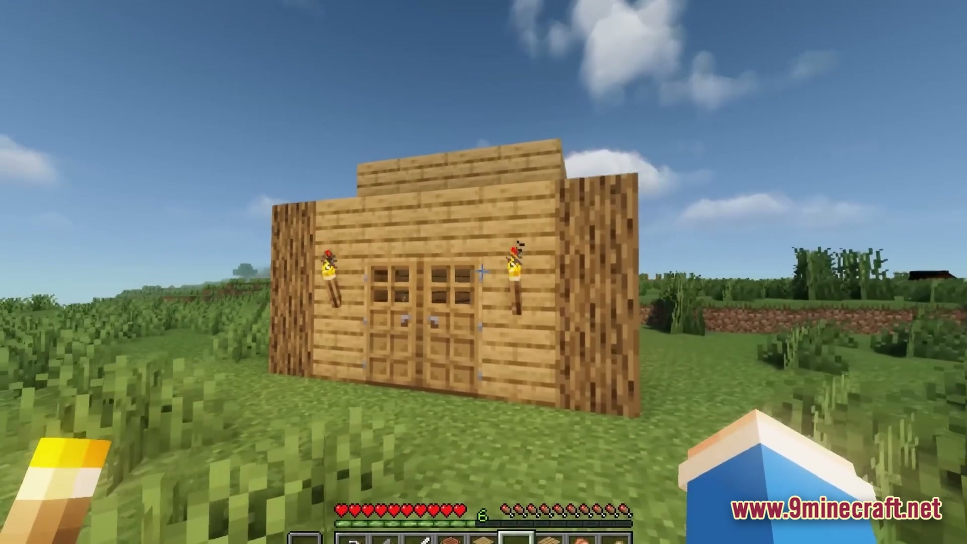 A simple wooden wall with double doors and torches stands in a grassy plains biome