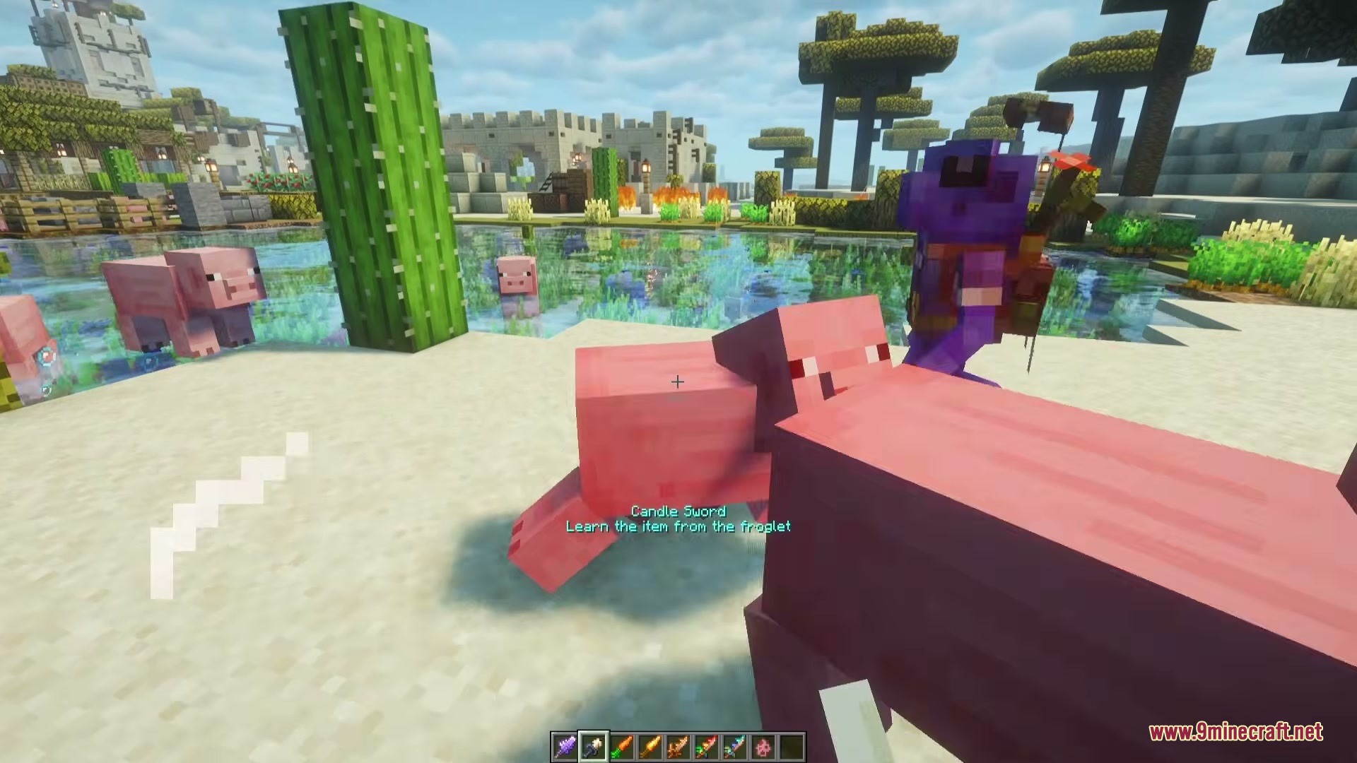 Unending Horizon Cycle Mod (1.21.11, 1.21.1) – Unearth Relic Blades 8 A player wearing purple armor stands near pigs on a sandy shore