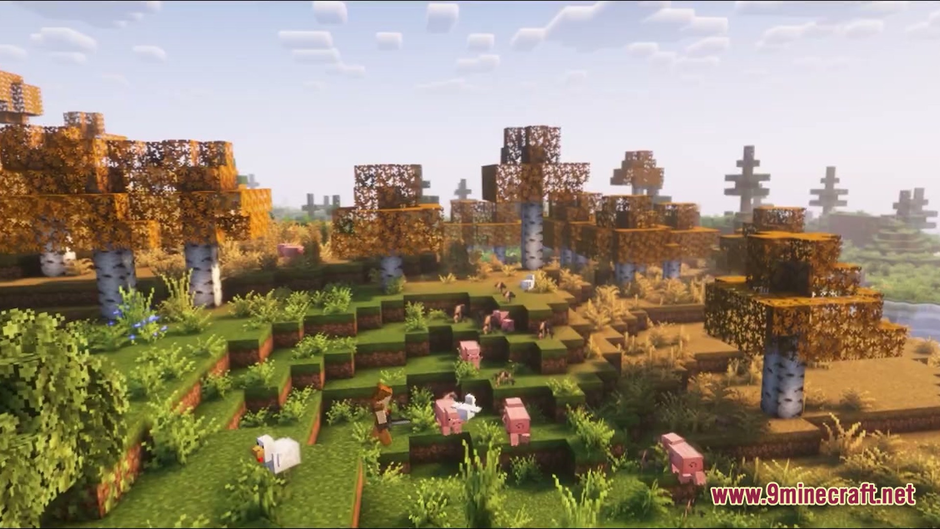 A player character stands among pigs and chickens in an autumnal birch forest biome with shaders