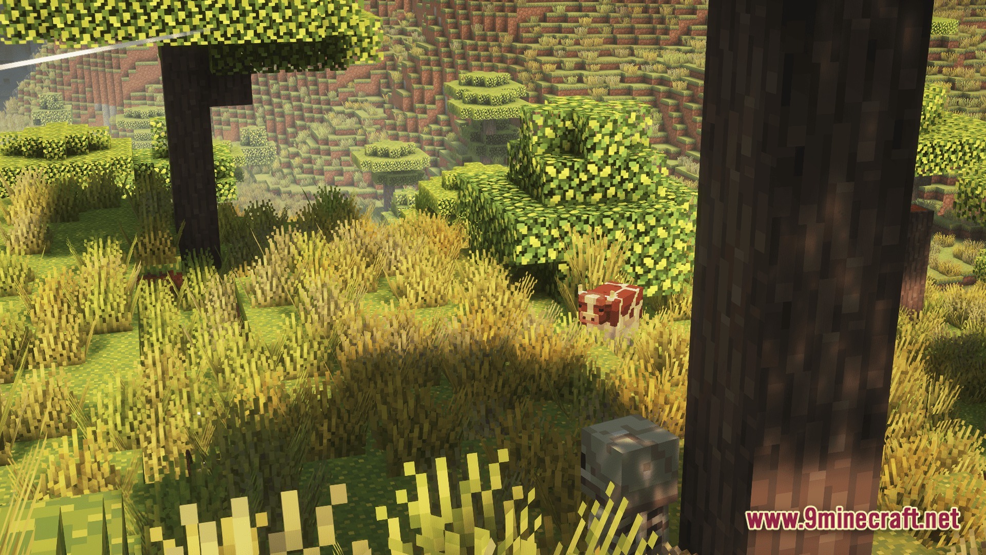 A cow stands in tall grass within a hilly savanna biome featuring custom trees and shaders