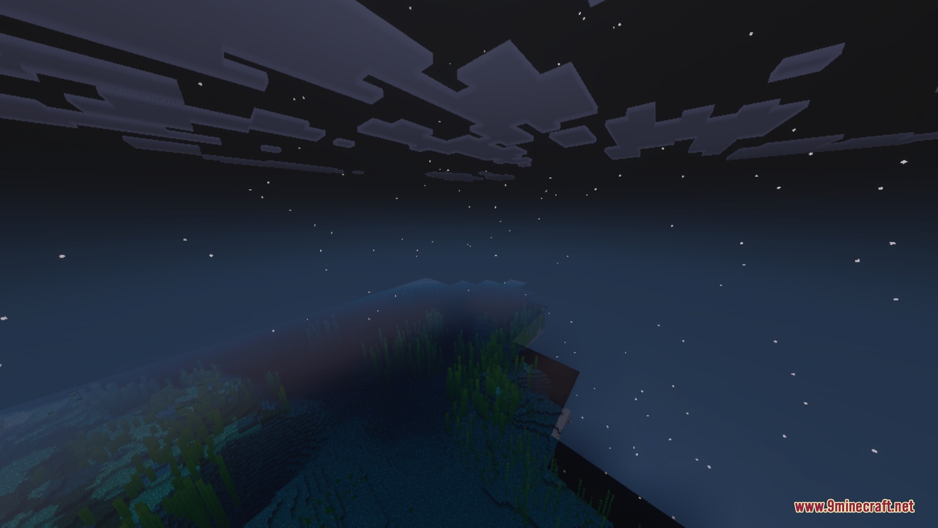 Clear nighttime view of the ocean floor with kelp and starry sky