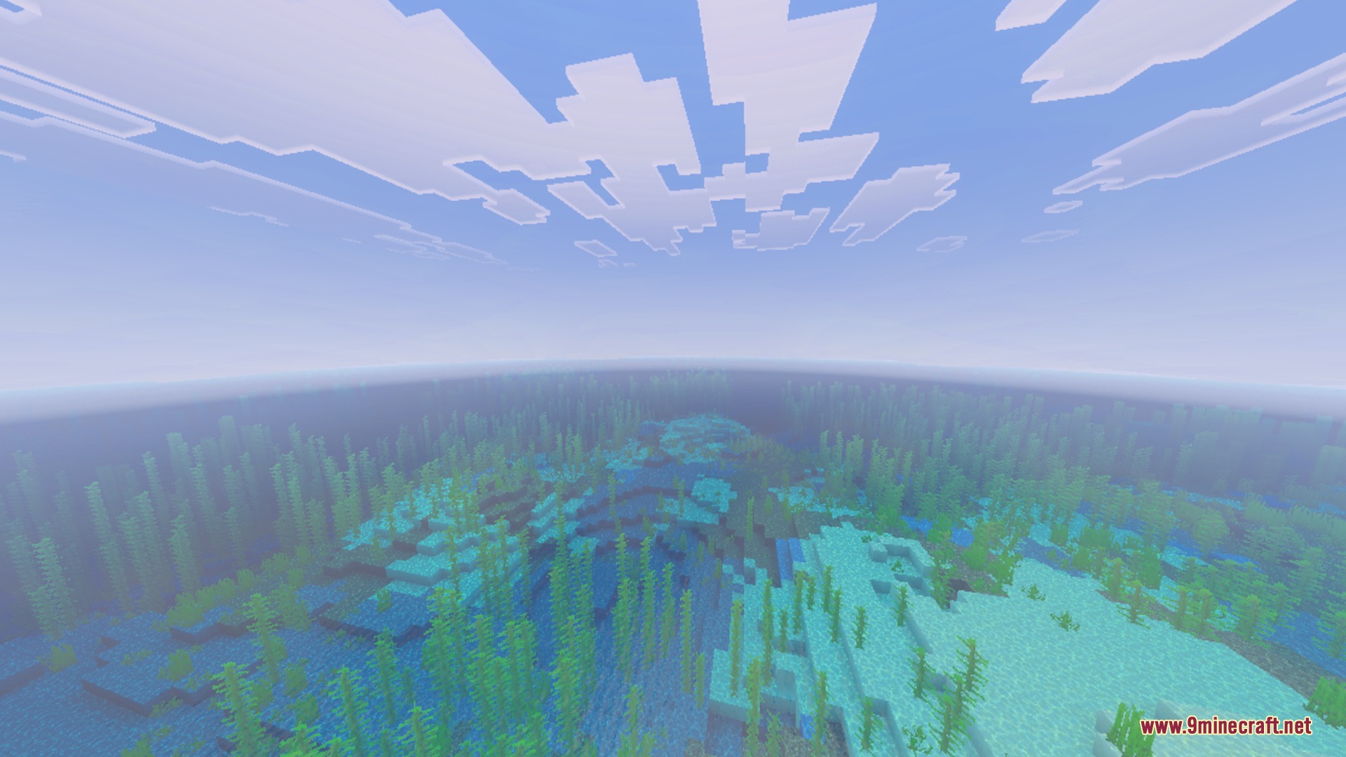 Bright daytime ocean view with clear water revealing kelp and coral reefs