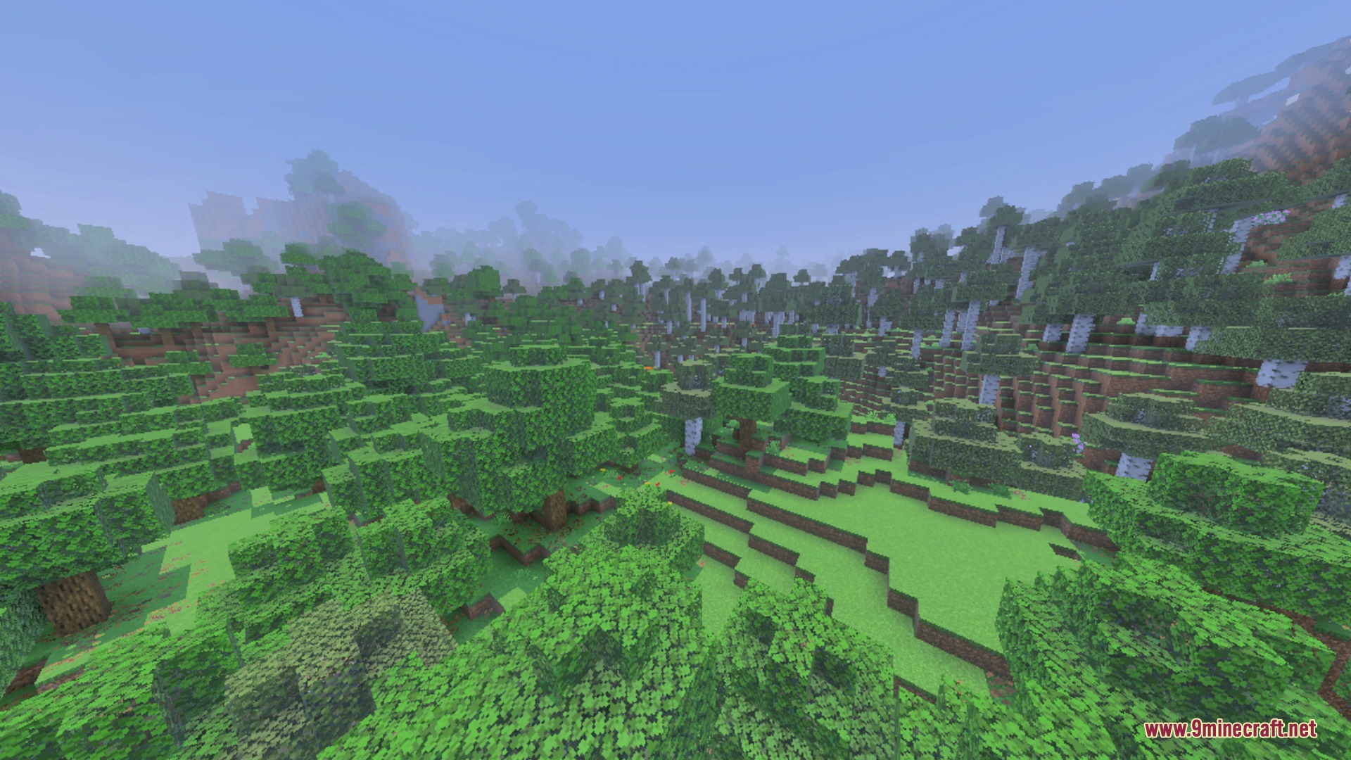 A lush green forest biome with clear visibility and vibrant tree colors