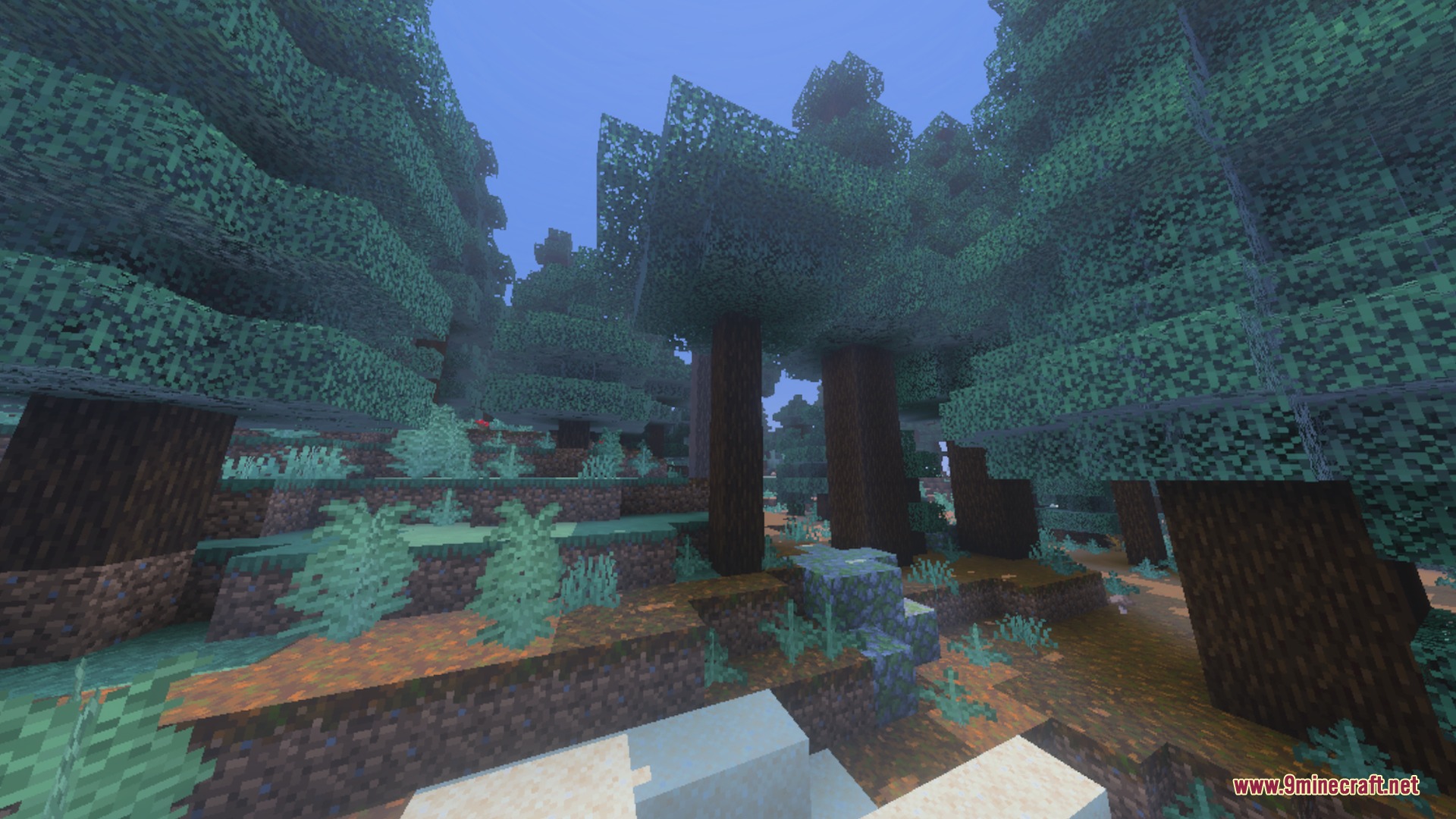 A dense spruce forest with clear visibility and vibrant green block textures