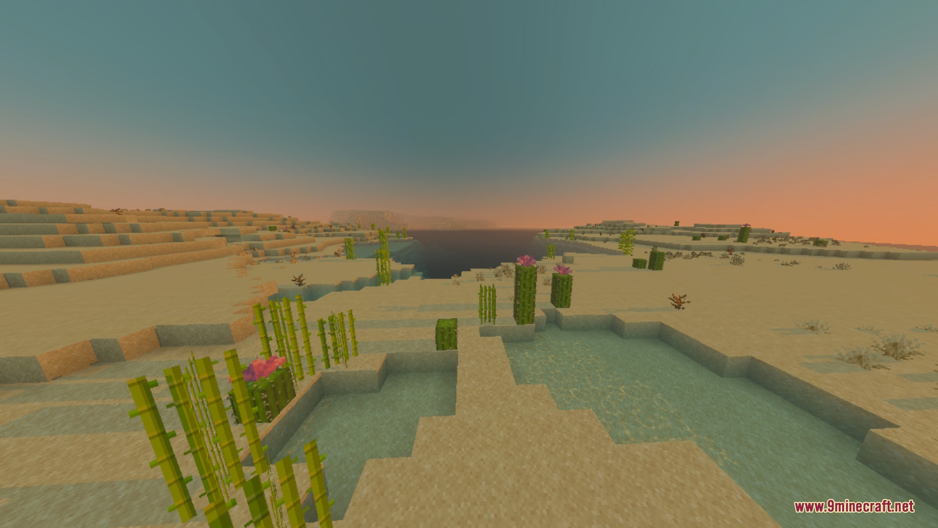 Vibrant desert landscape featuring cacti and sugar cane under a warm sunset
