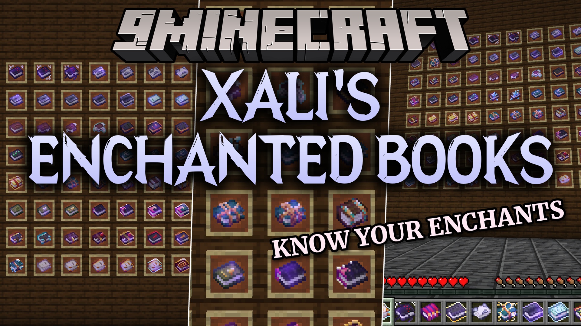 Xali’s Enchanted Books 9minecraft Resource Pack (26.2)