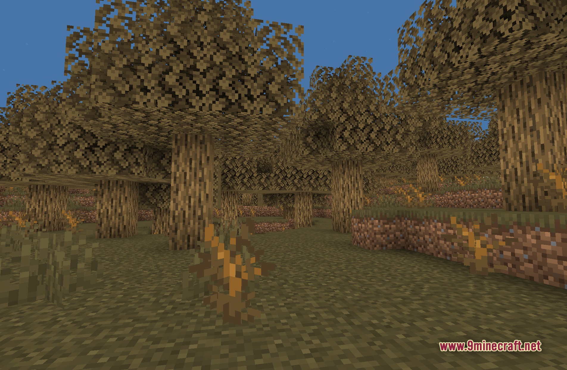 Bybyshader Shaders (26.2, 1.20.1) – Soft Bloom And Chromatic Aberration 8 Bybyshader shaders screenshot 7