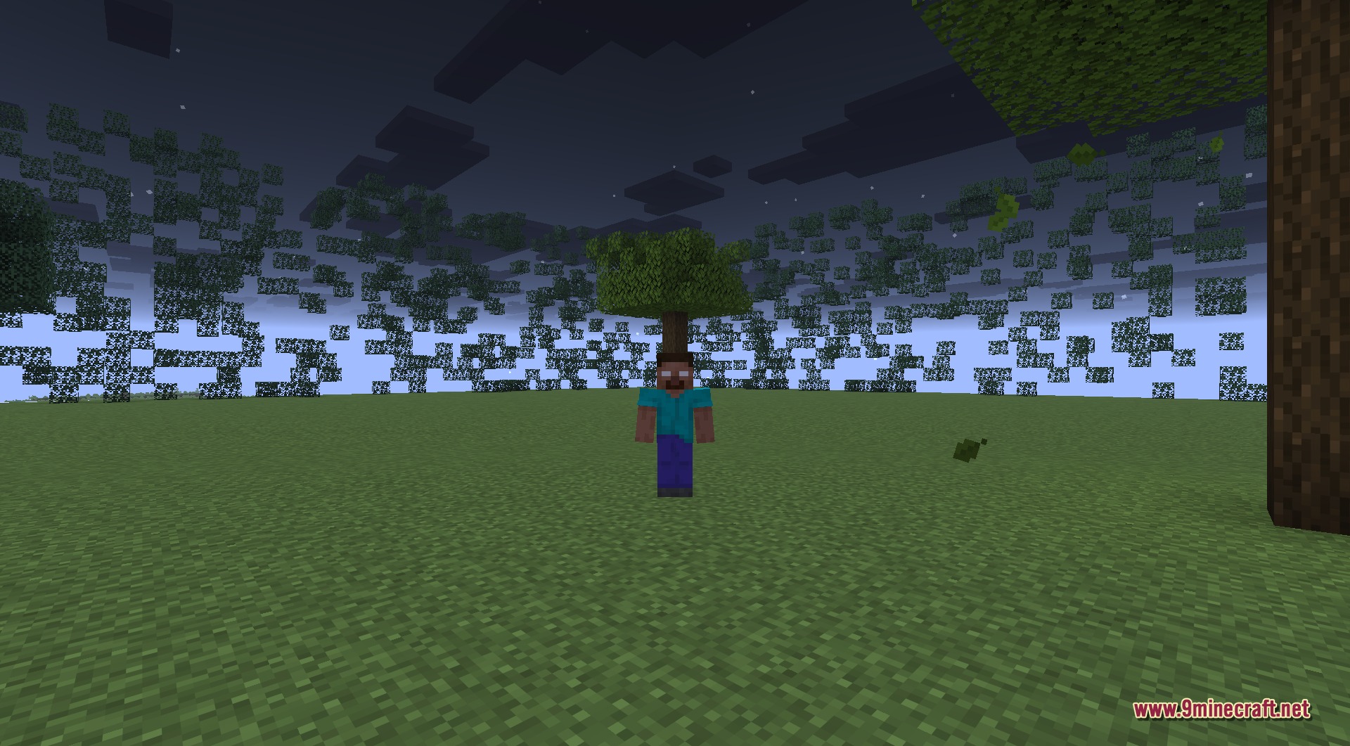 From The Fog 9Minecraft Data Pack (26.2) – Herobrine Stalks Your Survival World 2 Herobrine standing in a dark forest clearing at night, staring directly at the player with his blank glowing white eyes, faithful to the classic creepypasta look