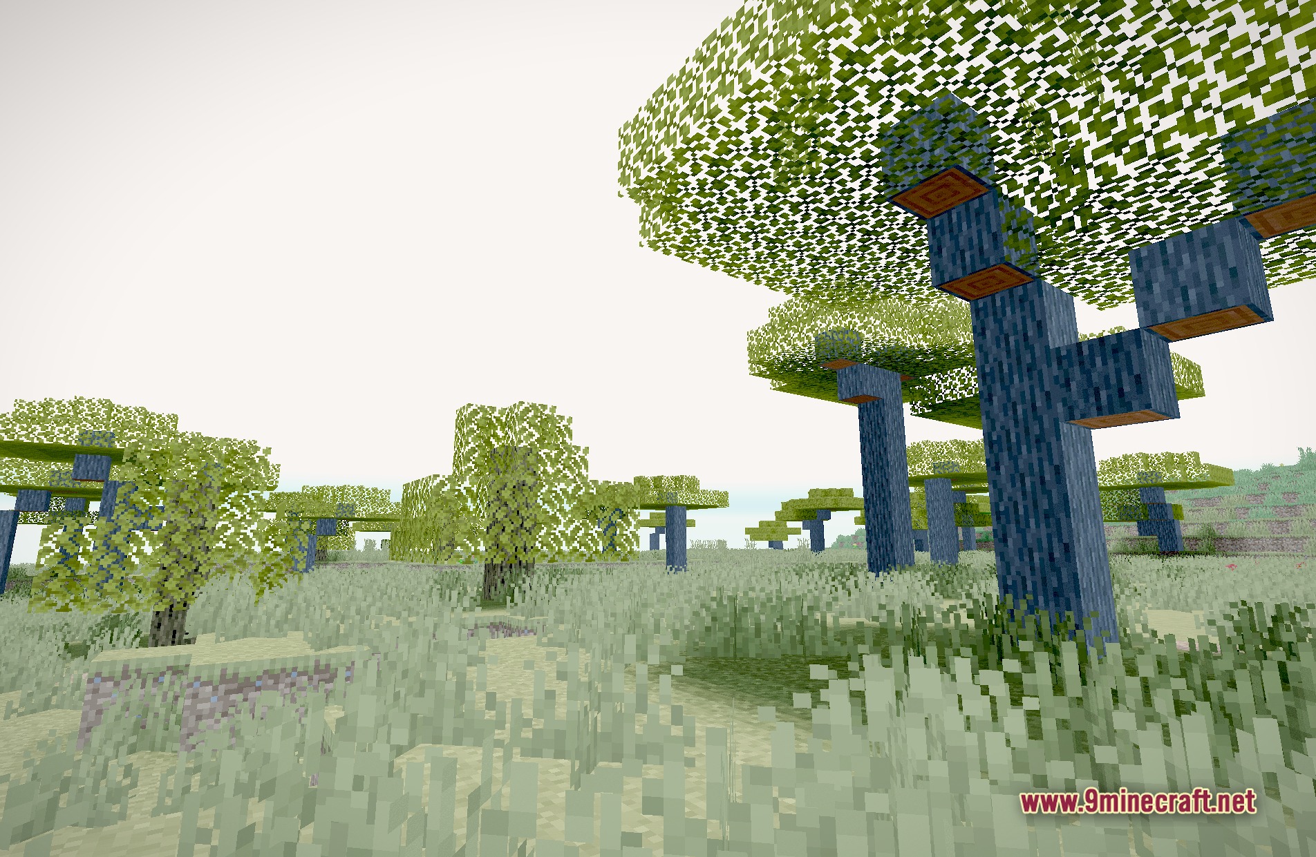 Shaider Shaders (26.2, 1.20.1) – Ai-Generated Effects And Translucent Mobs 7 Shaider shaders screenshot 6