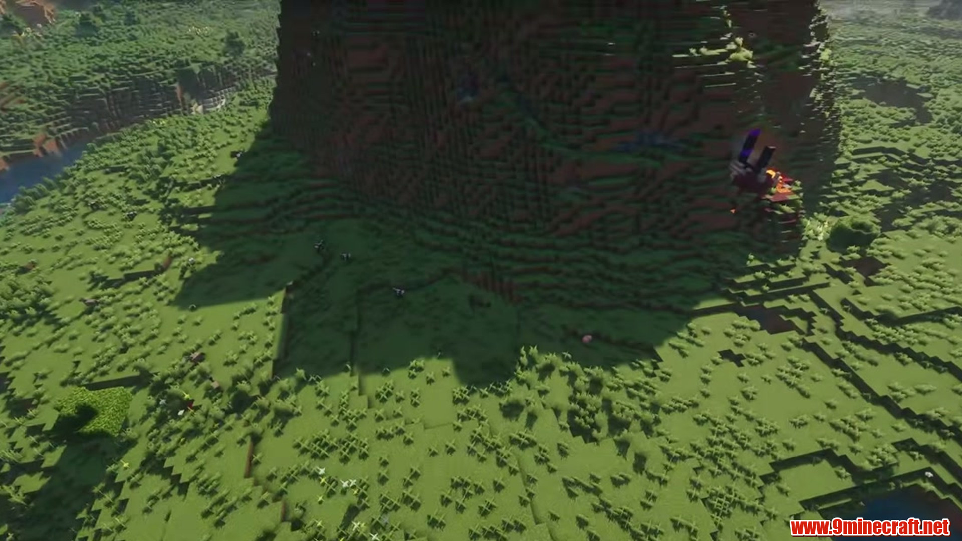 Perfect flat seed 2 view 2