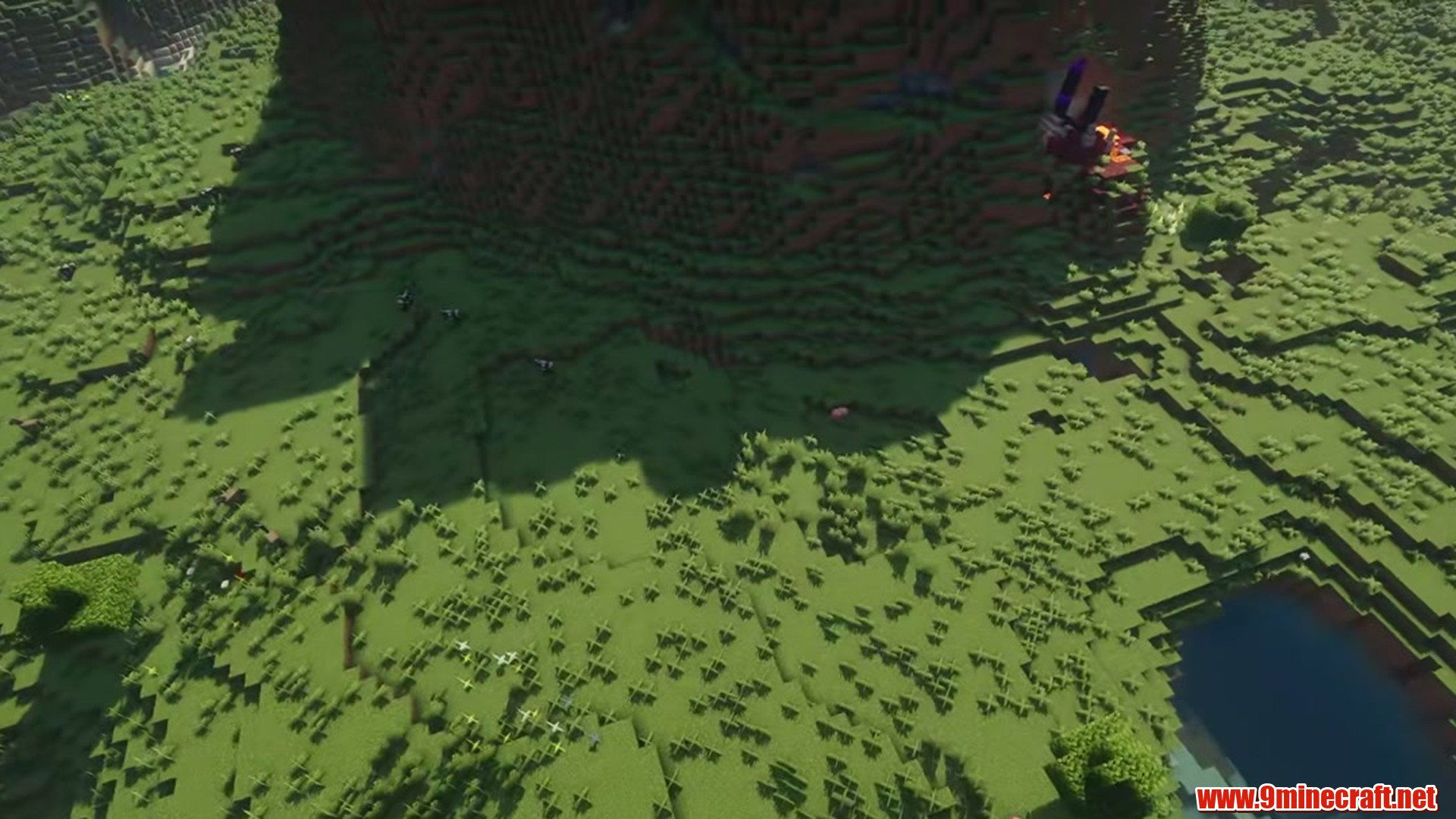 Perfect flat seed 2 view 3